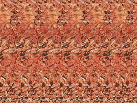 magic eye porn|Someone made pornographic magic eye pics (nsfw) : r/MagicEye。